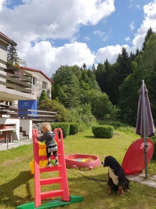 Apartament Waldhaus Jáchymov Zewnętrze zdjęcie