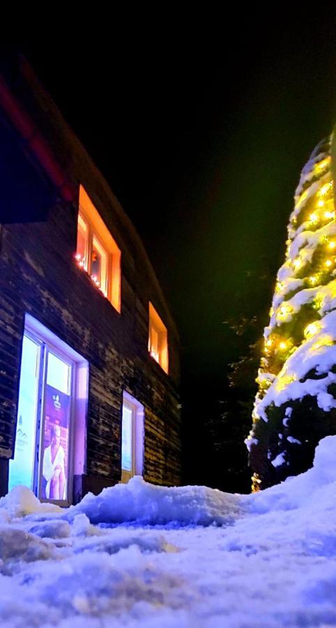 Apartament Waldhaus Jáchymov Zewnętrze zdjęcie