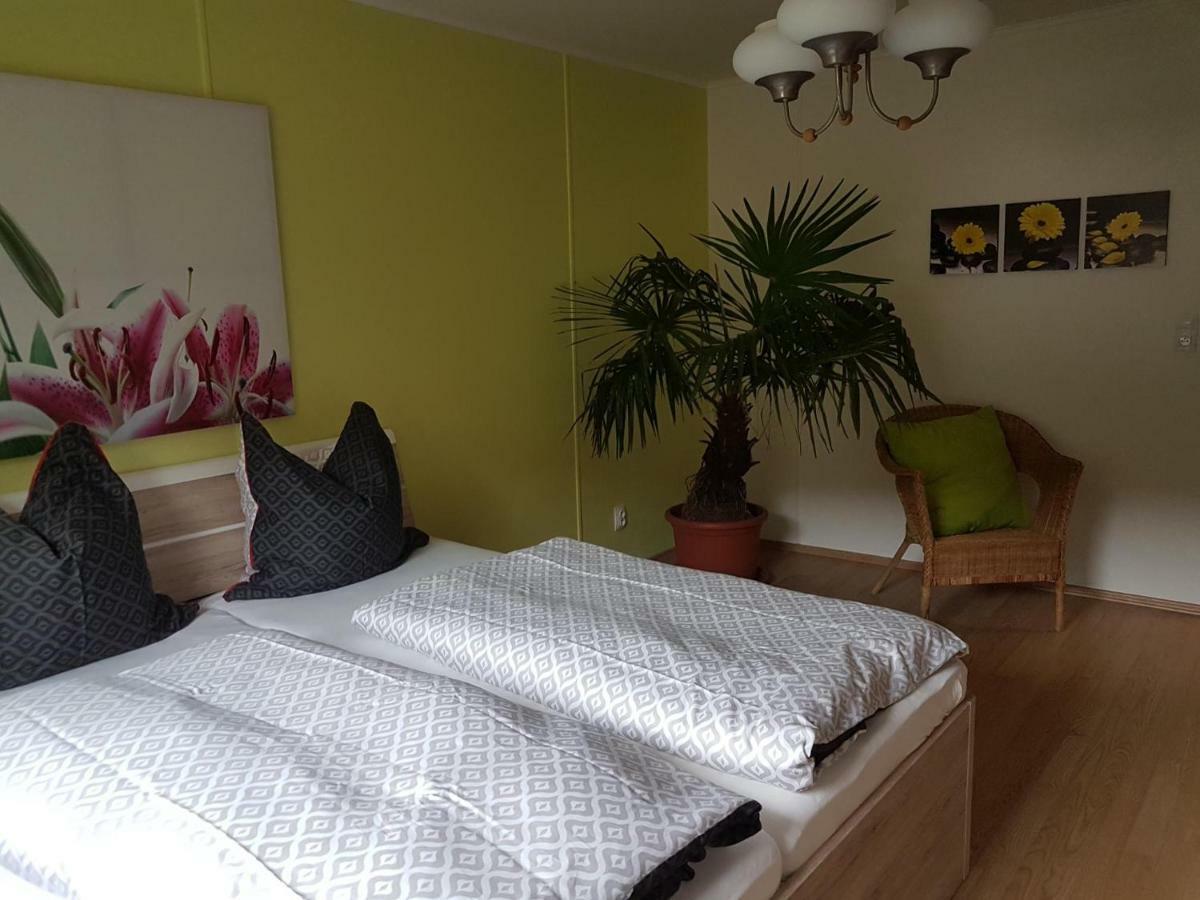 Apartament Waldhaus Jáchymov Zewnętrze zdjęcie