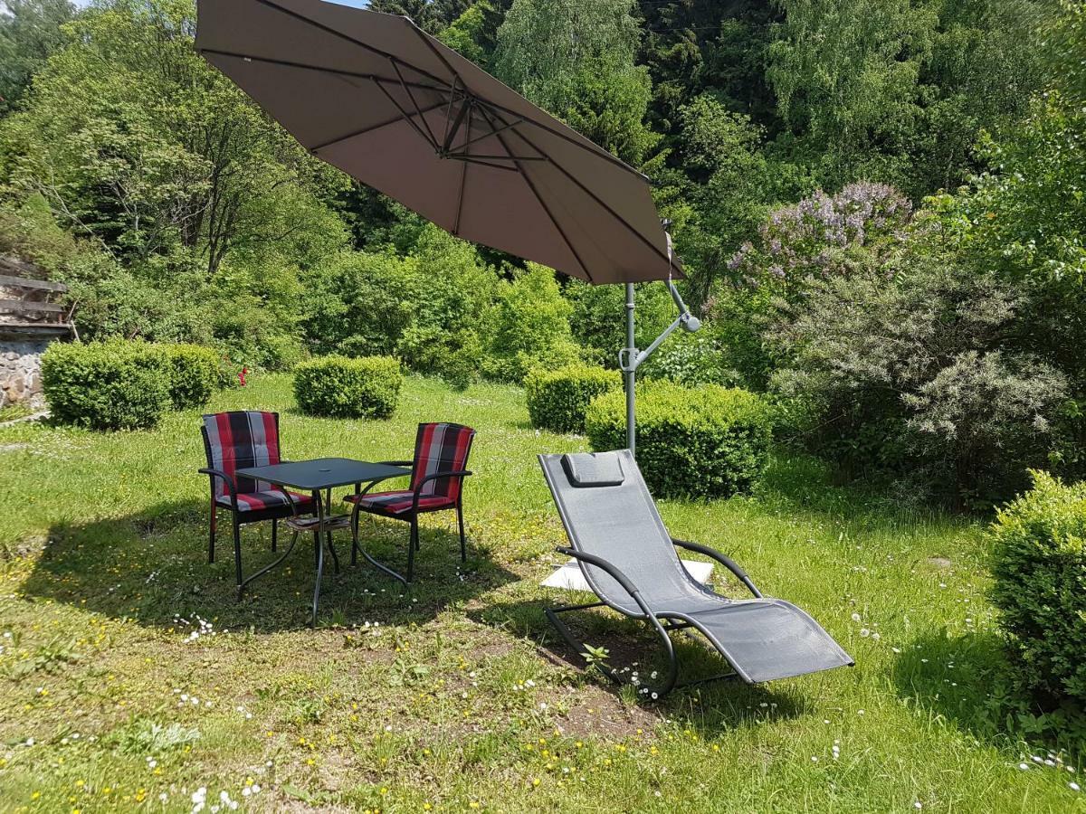 Apartament Waldhaus Jáchymov Zewnętrze zdjęcie
